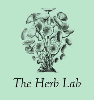 HerbLogoCrop